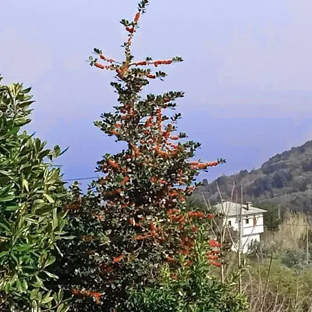Holiday home Anastasia's In Pelion