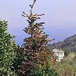 Tatil Evi Anastasia's In Pelion