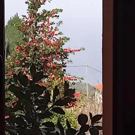 Anastasia's In Pelion